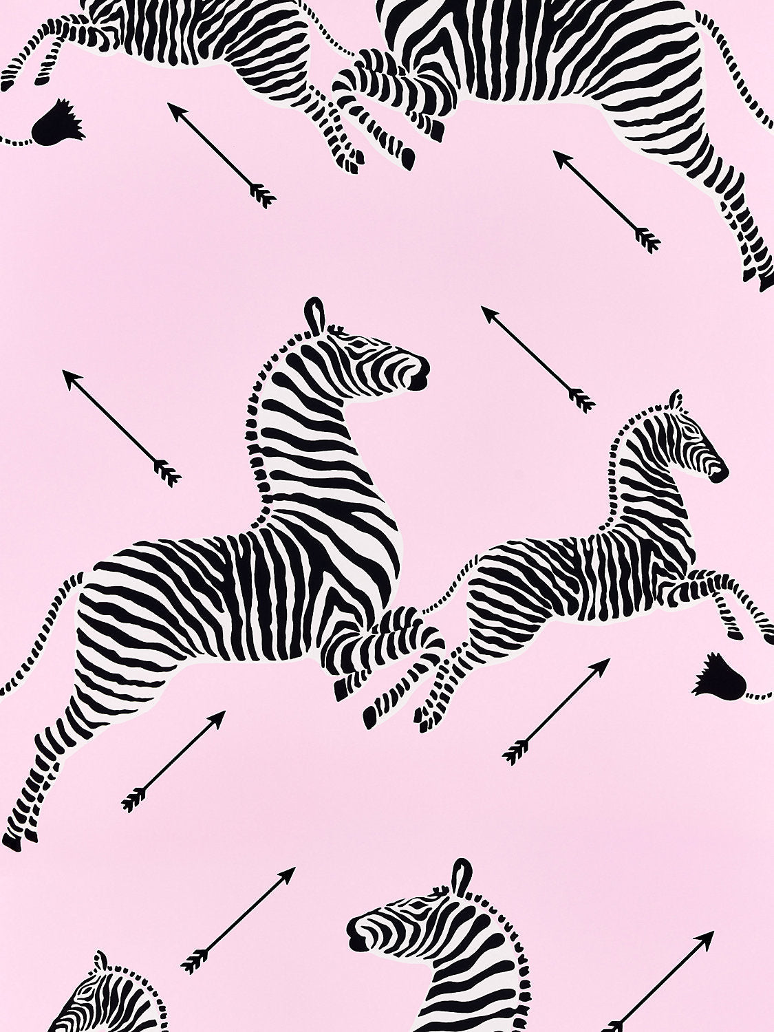 Salamander zebras pink wallpaper