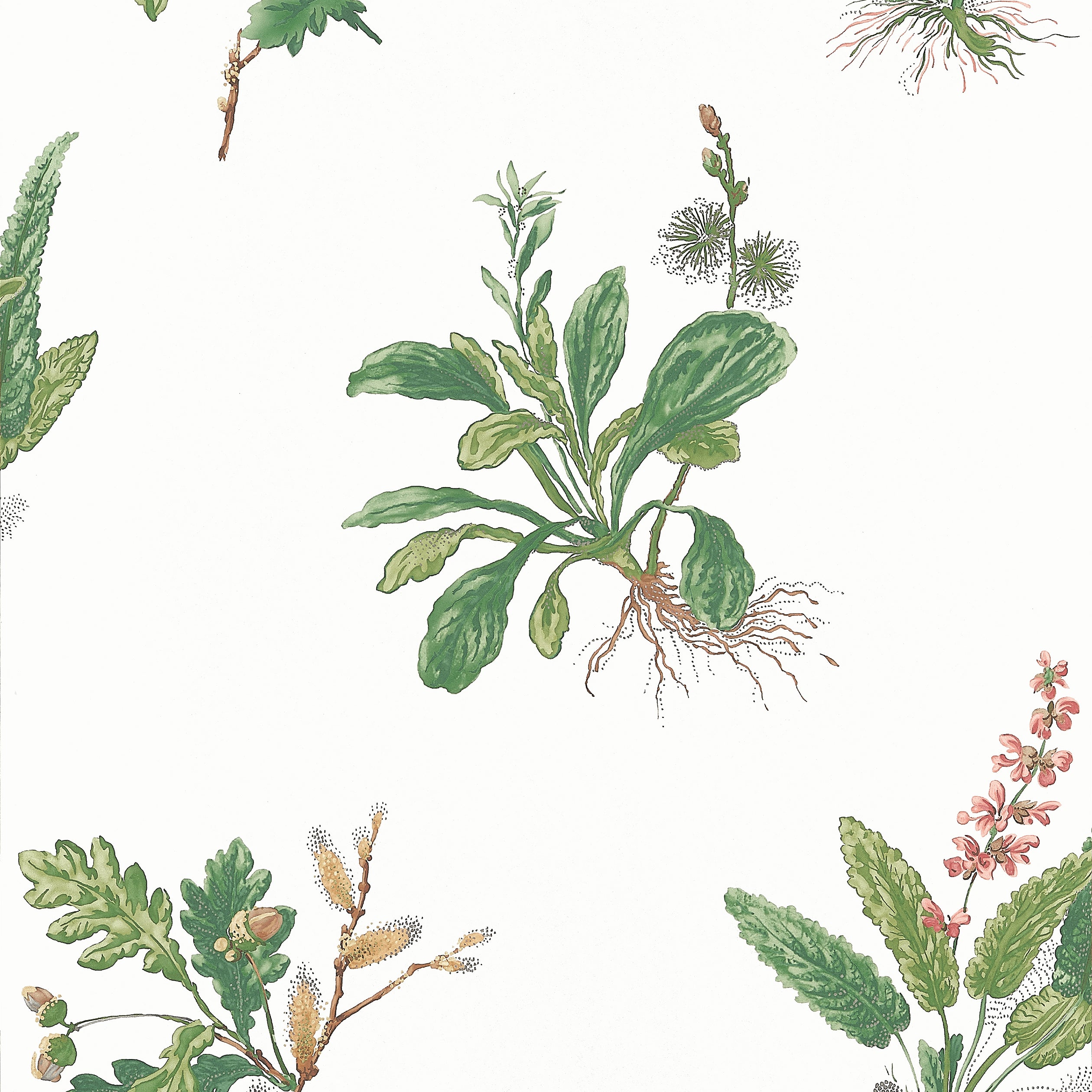 Thibaut Woodland Wallpaper - Green and Blush