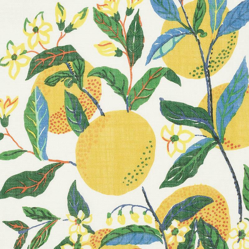 Citrus Garden Sheer Fabric - Primary