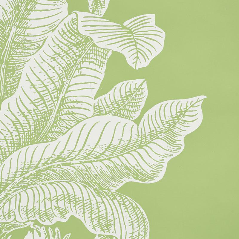 Schumacher Grand Palms Wallpaper - Leaf