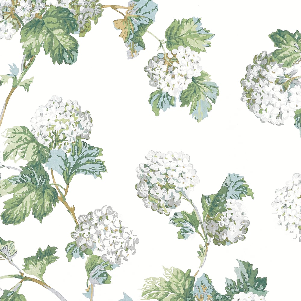 Anna French Sussex Hydrangea Wallpaper - White and Green