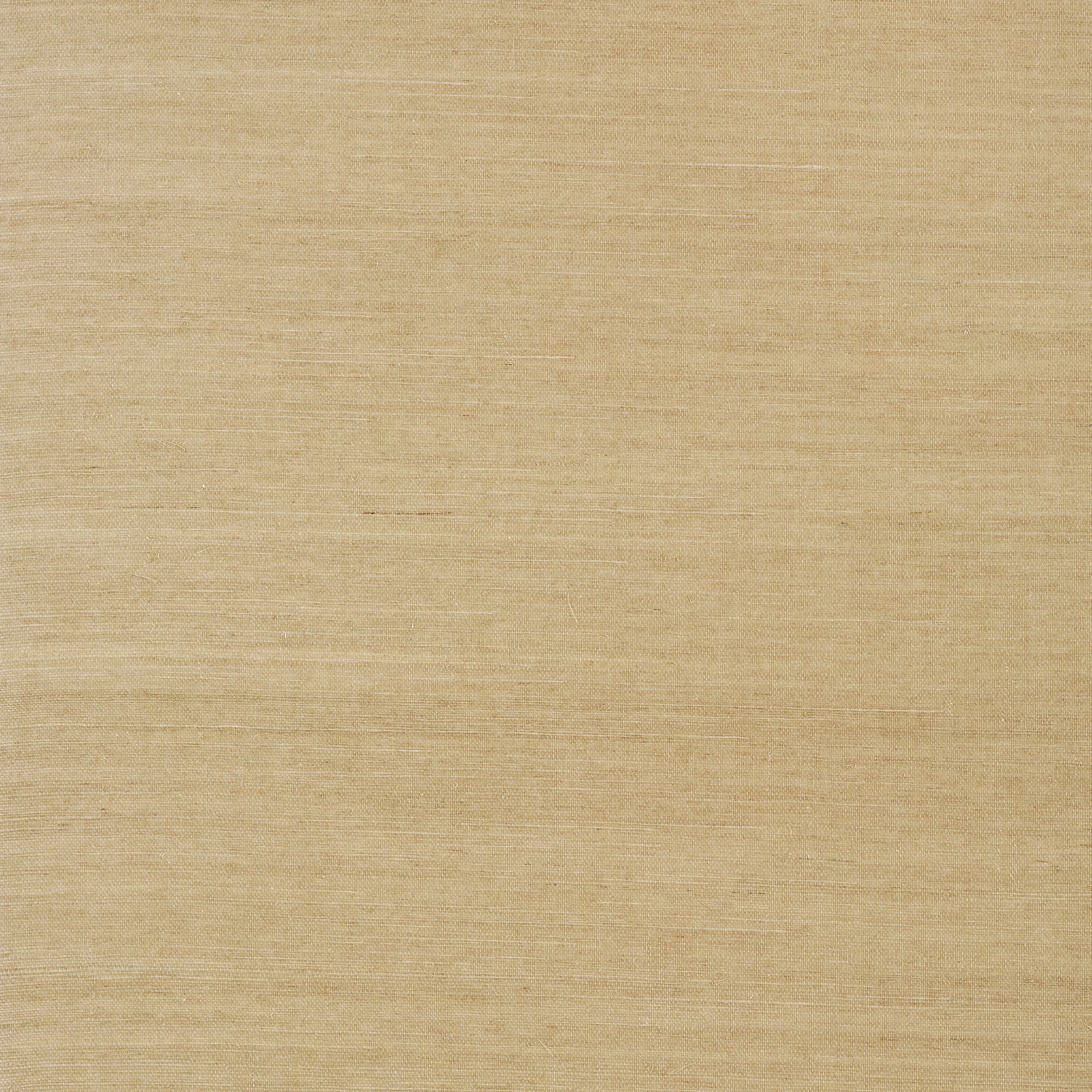 Thibaut Shang Extra Fine Sisal Wallpaper - Doe