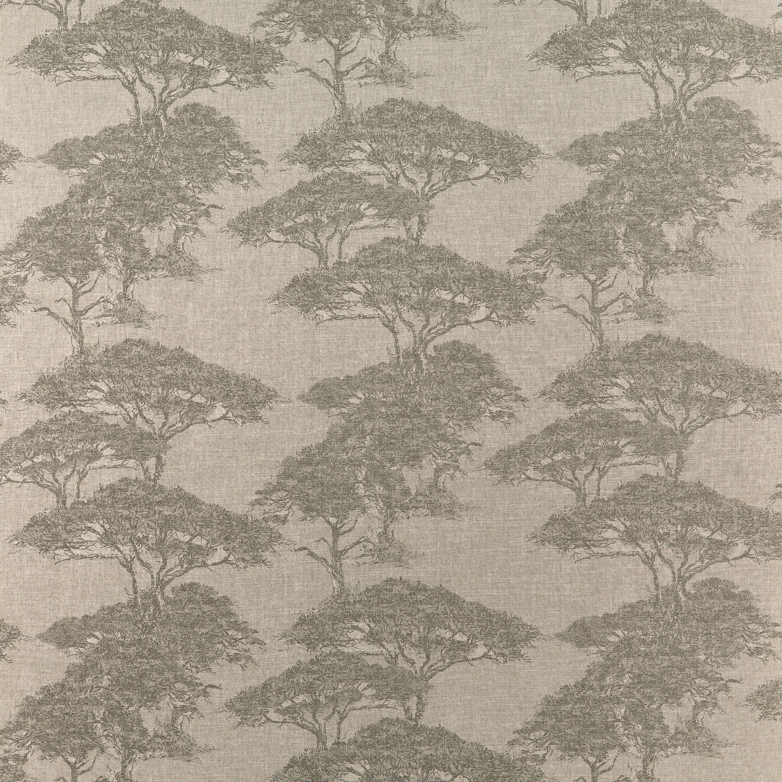 Thibaut Torrey Pines Fabric - Beige and Black