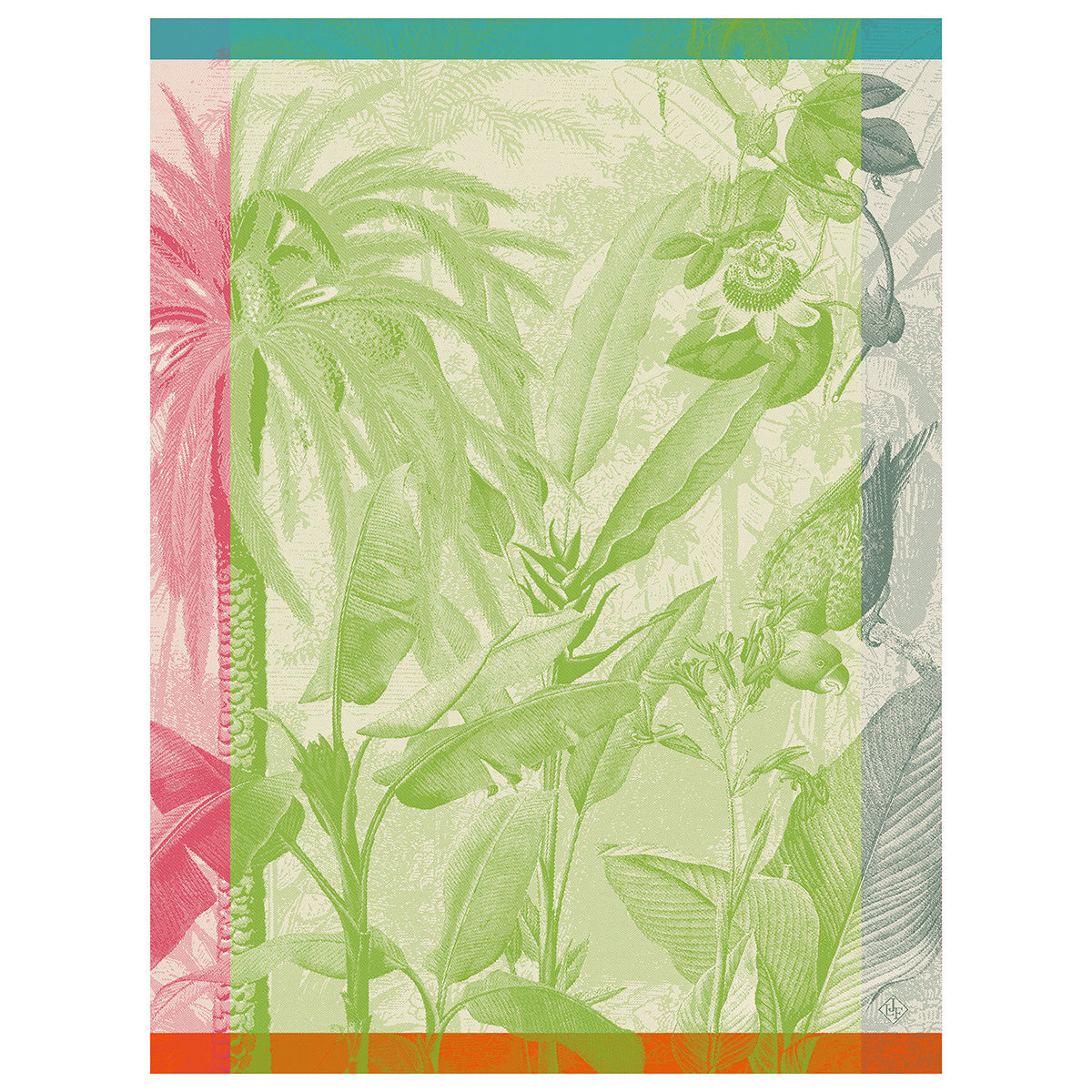 Équateur Tea Towel - Perroquet (Green)