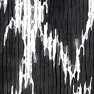 Thibaut Maverick Black Fabric