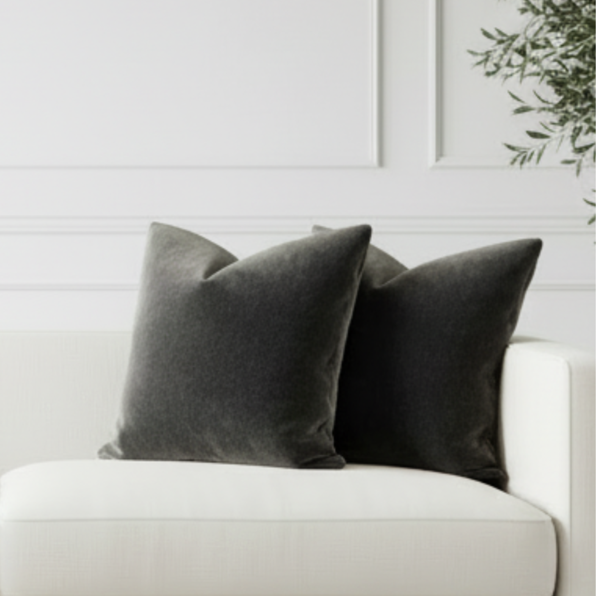 White sofa with dark cushions in a room with a plant and framed picture on the wall.