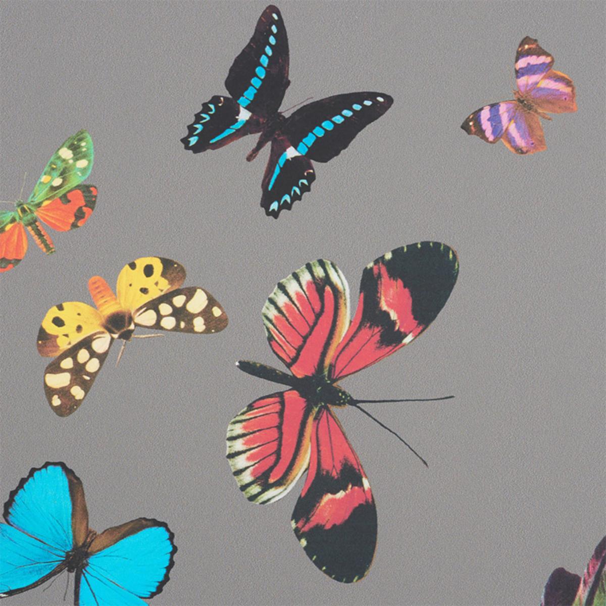 Schumacher Queen's Flight Panel Set - Grey