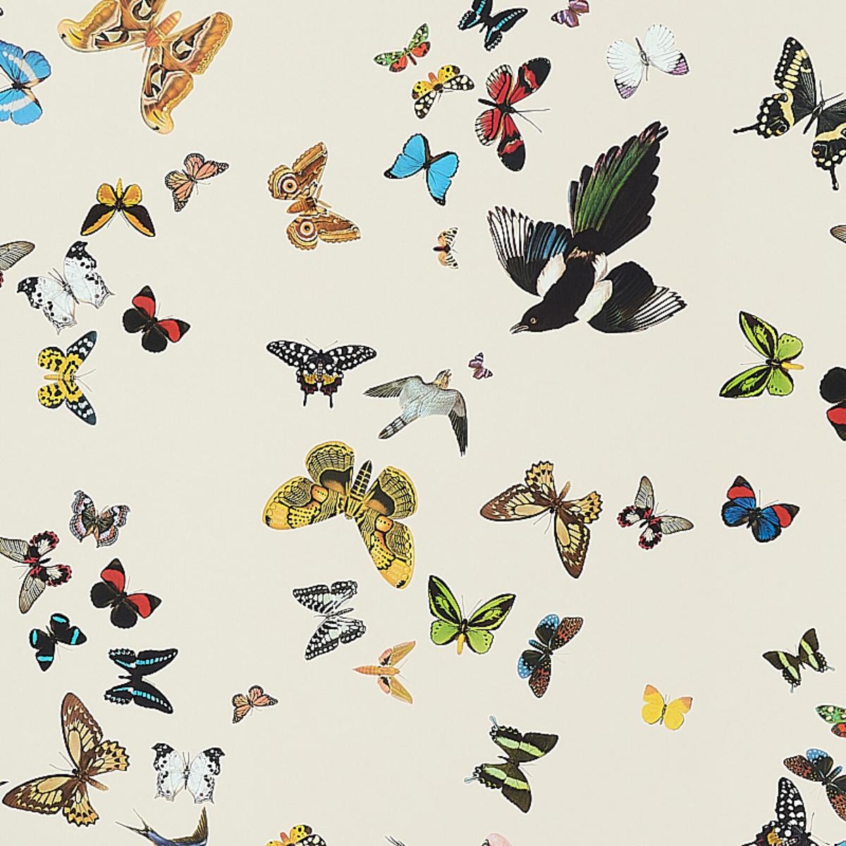 Schumacher Queen's Flight Panel Set - Sand