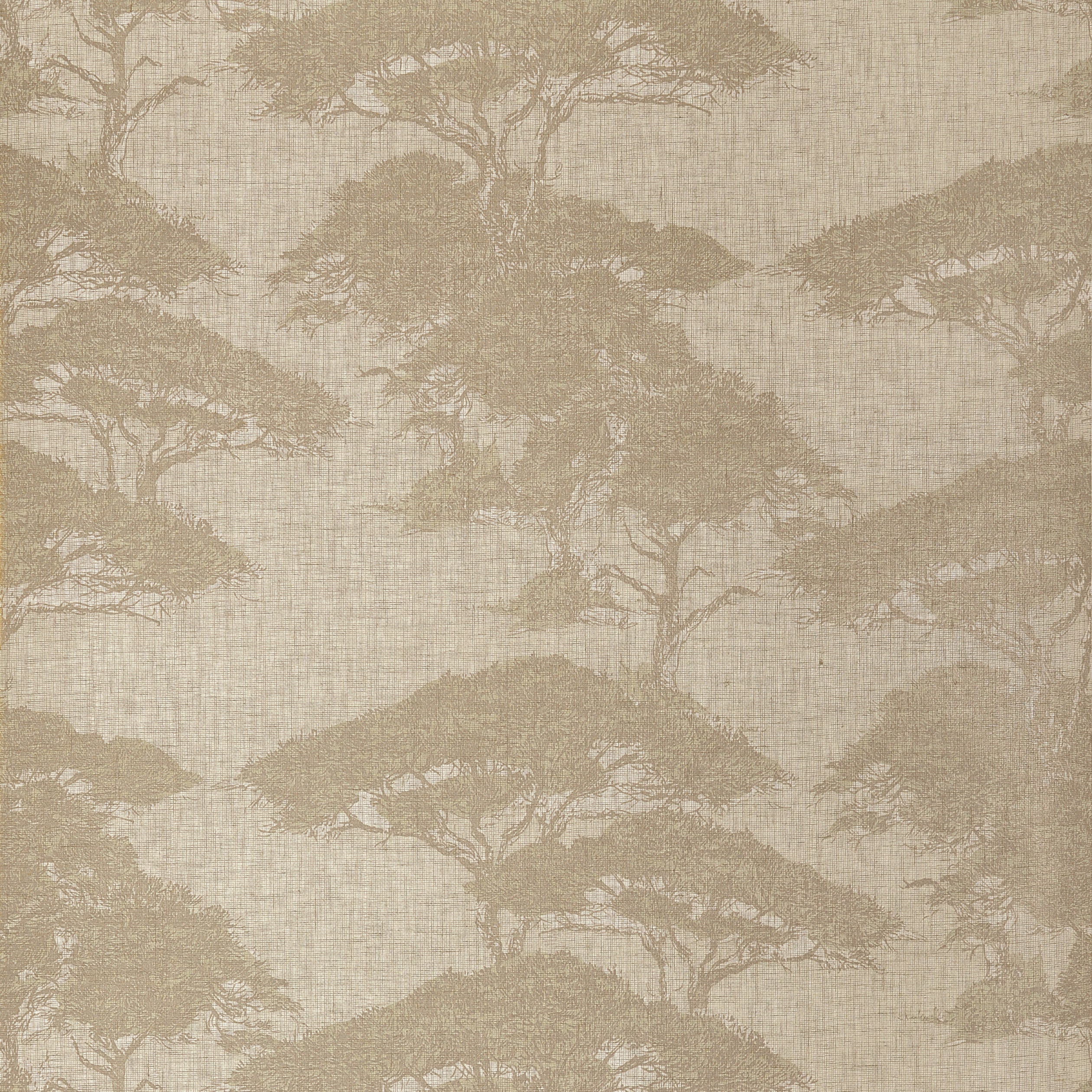Thibaut Torrey Pines Wallpaper - Champagne