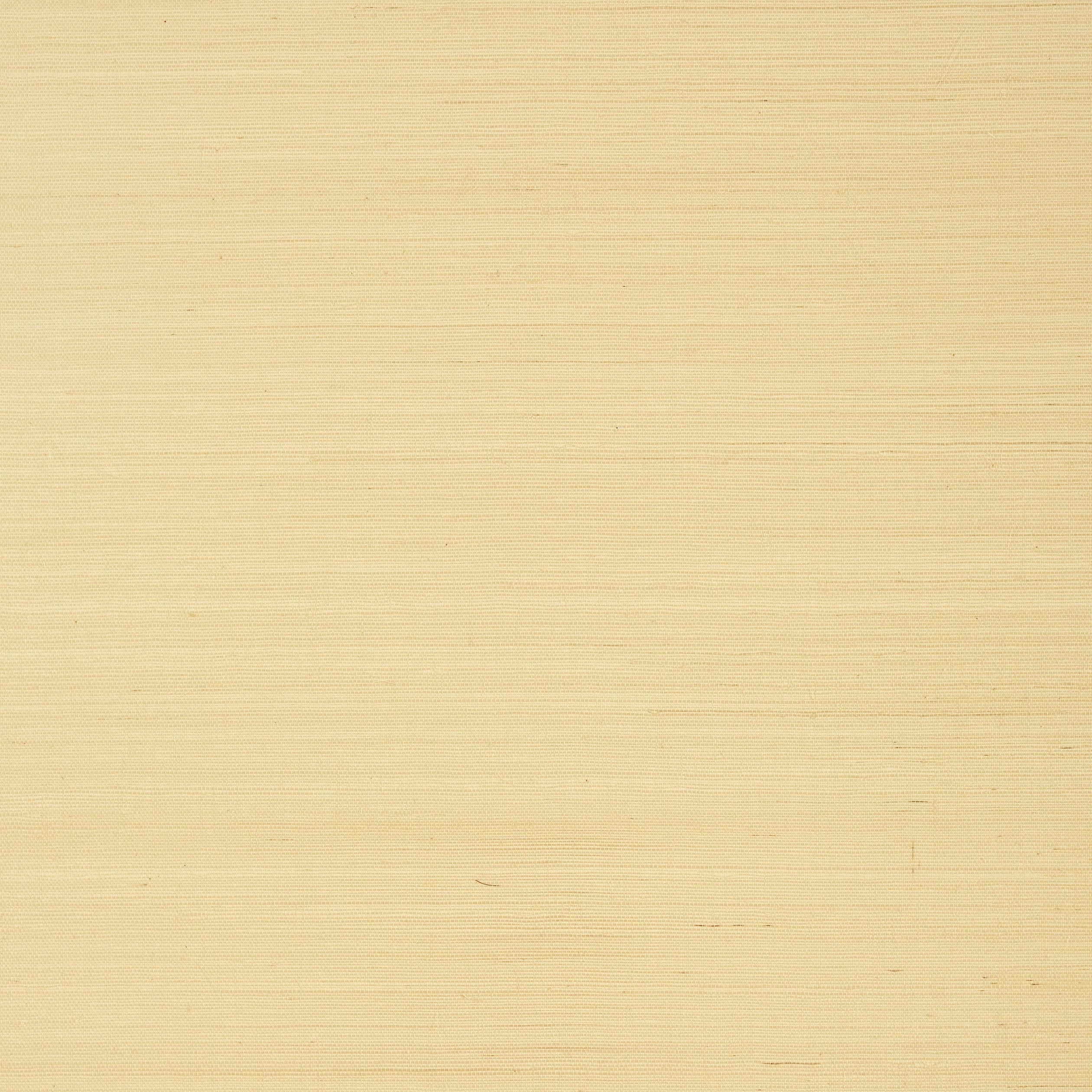 Thibaut Shang Extra Fine Sisal Wallpaper - Vanilla