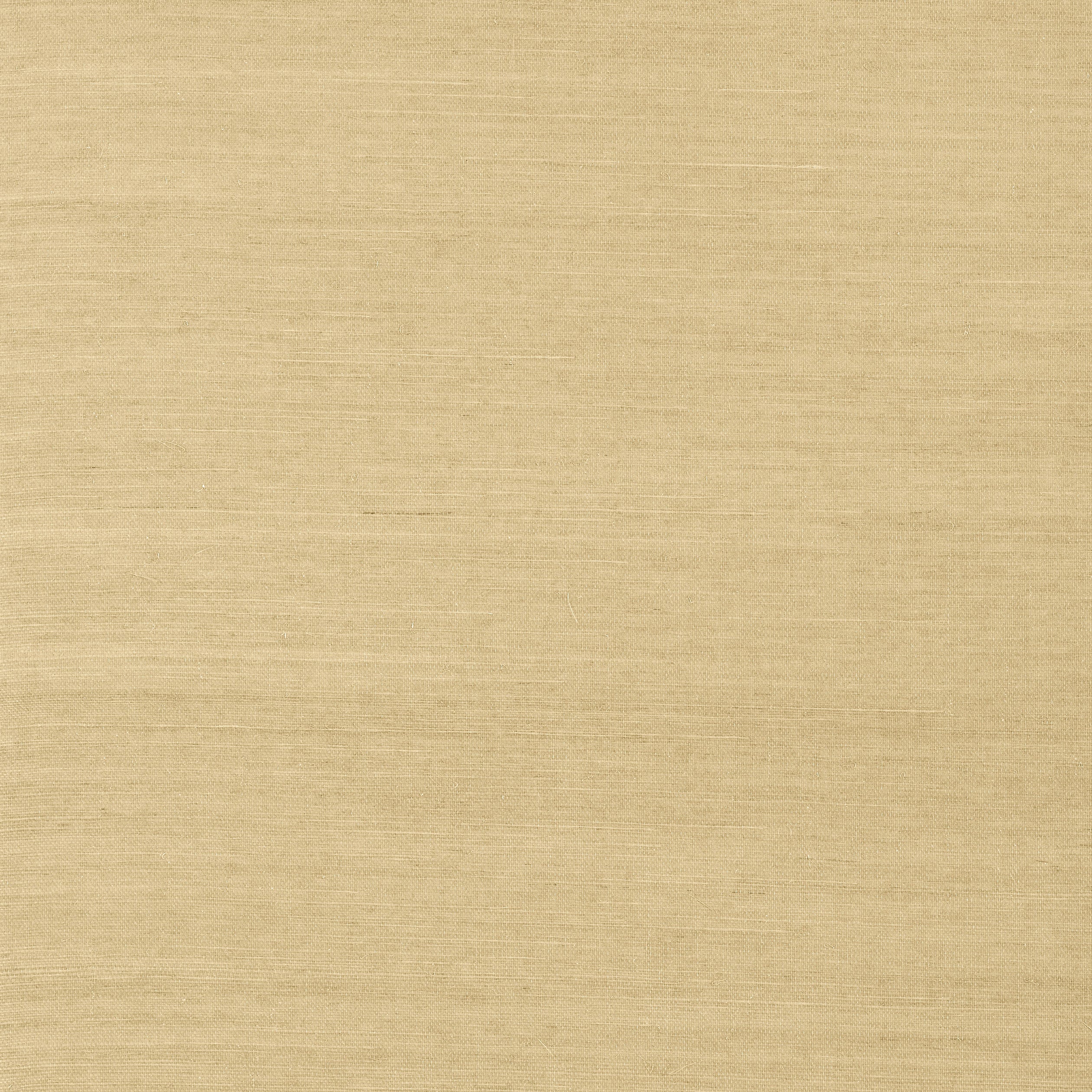 Thibaut Shang Extra Fine Sisal Wallpaper - Taupe